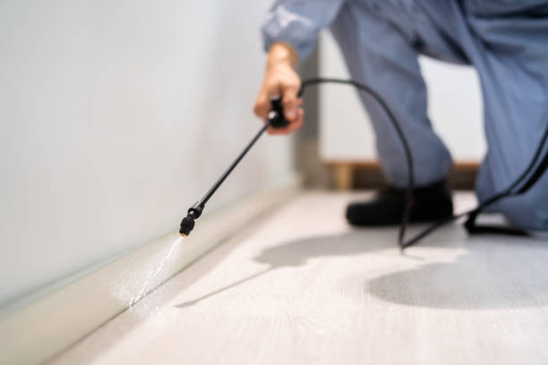 Licensed Wasp Removal service in Nikiski, AK - Show Me Pest Control