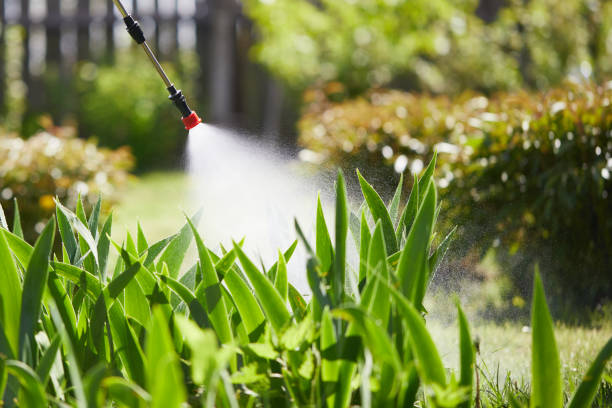 24/7 Emergency Wasp Removal experts in Nikiski, AK