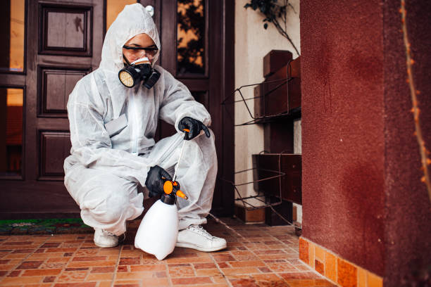 Reliable Wasp Removal contractor in Nikiski, AK by Show Me Pest Control