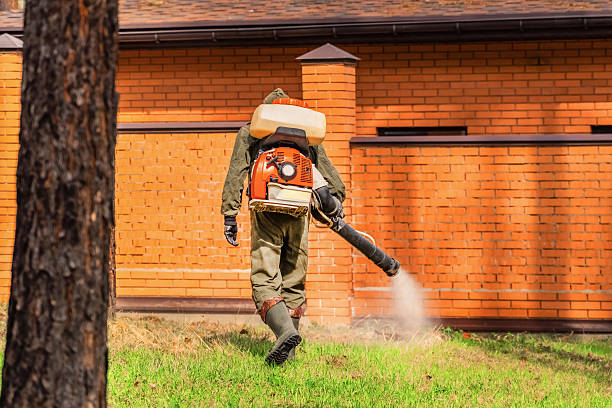 Top rated local Wasp Removal specialists in Nikiski, AK